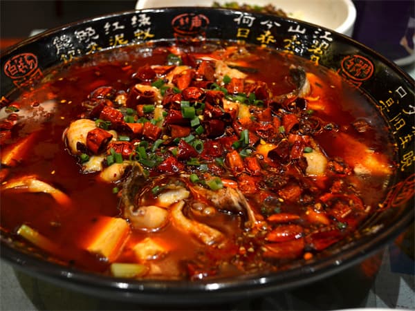 Mapo Tofu with Fish