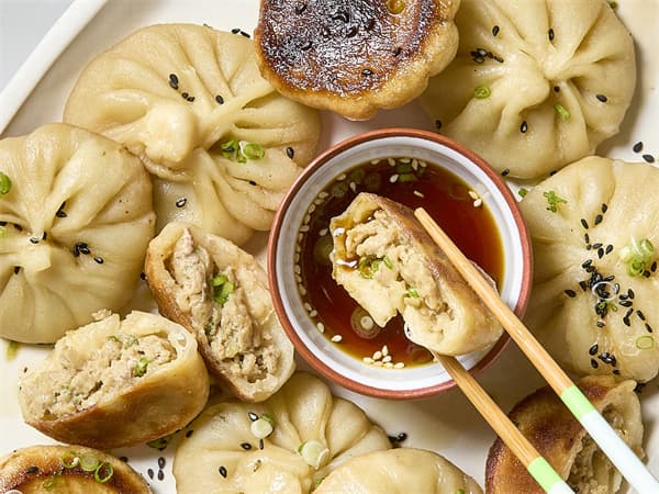 Pan Fried Pork Dumplings
