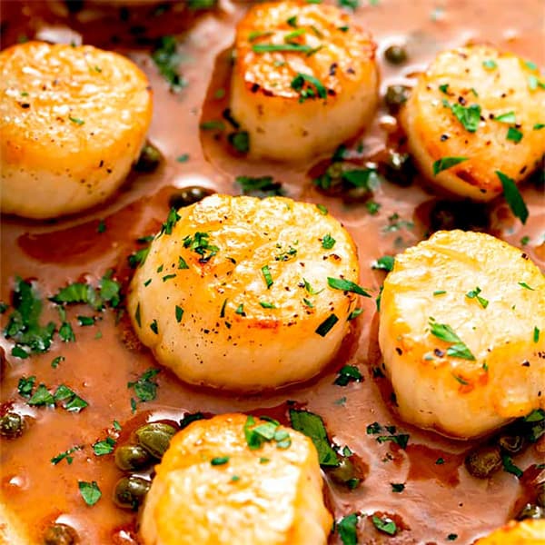 Steamed Scallops with XO Sauce